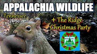 Appalachia Wildlife Video 24-50 of AS THE RIDGE TURNS in the Foothills of the Great Smoky Mountains