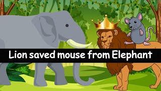 Lion Saved Mouse from Elephant || JUNGLE Diaries || Elephant mouse and Lion