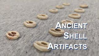 What was the purpose of these ancient cowrie shell artifacts? – Archaeology Studio 161