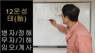 12운성(태) 병자/정해/무자/기해/임오/계사