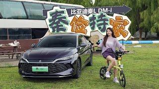 车若初见 | 初晓敏 | 秦俭持家 试驾比亚迪秦L DM-i  #byd #比亚迪 #比亚迪秦