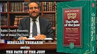 110. The Path of the Just -   Protecting Yourself the Torah Way by Rabbi Dovid Horowitz