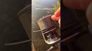 Best Song for Fisherman’s  Carprun #carpfishing #fishermanlife #carp #boiledfish #carprun