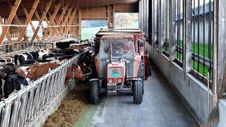 Arbeiten auf dem Bauernhof Leidenberg 