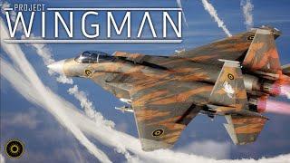 (Old, read description) Project Wingman - Full Campaign + Story (Mercenary difficulty)