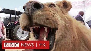 世界領導人互相贈送的「奇葩」禮物－ BBC News 中文