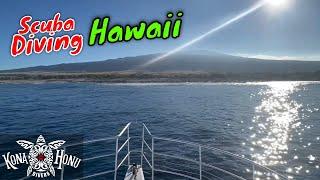 Kona Diving in Hawaii Big Island | Kona Honu Divers