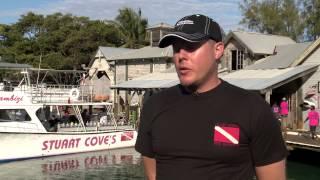 Stuart Cove's Dive Bahamas Top 5 Experiences