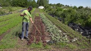 The Market Gardener's Masterclass: Tools!