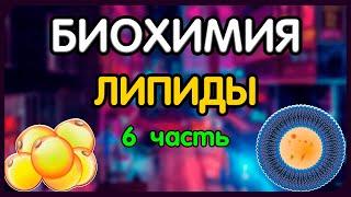 Биохимия. Лекция 60. Обмен холестерола. Атеросклероз