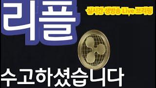 리플 끝. 수고하셨습니다 Ripple xrp 비트코인 24년 불장