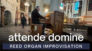 Attende Domine | Organ Improvisation | A.J. Spencer's Reed Organ