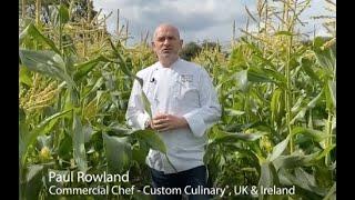 Meet Paul Rowland
