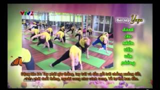 Bài tập yoga dành cho nhân viên văn phòng - Hương Anh Yoga