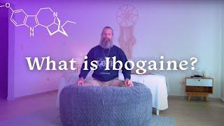 What is Ibogaine? My Experience at Ibogaine Treatment Clinic | Certified Health Nut | Beond