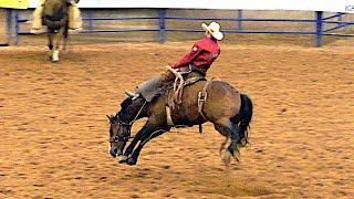 Ranch Broncs  - 2019 (32nd) Coors Cowboy Club Ranch Rodeo (Saturday)