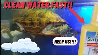 FIXING CLOUDY TURTLE OR FISH TANK WATER FAST | FRESHWATER HOW TO