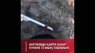 Англия жумыс