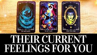 PICK A CARD Their CURRENT FEELINGS For YOU!  They want you to know THIS!  Love Tarot Reading
