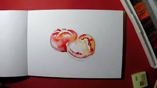 Как нарисовать помидор, томат. Скетчинг. Рисунки акварелью в скетчбуке.