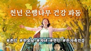 천년 은행나무의 치유 에너지  무병장수 • 면역력 강화 • 가족 건강과 회복을 위한 힐링 주파수 • 수면 • 집중 • 명상 • sleep study to