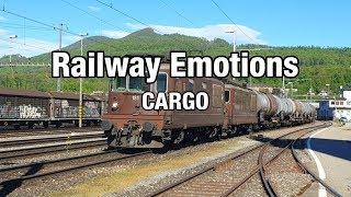  Long distance cargo cab ride on a fuel train (Cab Ride Switzerland | Olten - St. Margrethen)