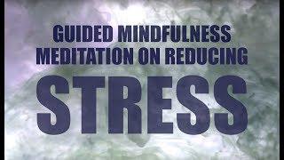 Guided Mindfulness Meditation on Stress - Guided Body Scan - Control Anxiety