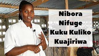 UFUGAJI WA KUKU CHOTARA HATUA KWA HATUA - NIBORA NIFUGE KUKU KULIKO KUAJIRIWA