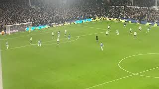 MICHAEL KEANE WONDER GOAL AGAINST TOTTENHAM! | Everton 1-1 Tottenham Hotspur