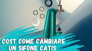 How to change a Catis siphon #do it yourself