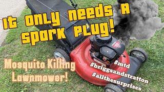 I Was Told It Only Needs A Spark Plug #doesnotrun #blowssmoke #mtd #lawnmower