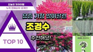 조경수 추천 판매순위 Top10 || 가격 평점 후기 비교0 조경수 동영상