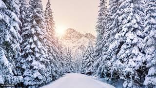 Winter Wonderland No Sound Art TV Screensaver background background background