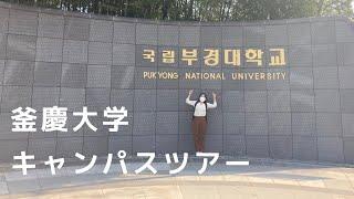 【韓国留学生活】#14 広すぎる釜慶大学内をご紹介！/地図付き