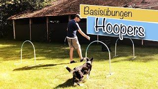 Hoopers Agility Basistraining [Hundeschule und Hundetraining Online]