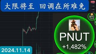 PUNT宠物松鼠币冲到47市值排名，预示着比特币要回调了！主力狗庄在卖出！加密货币的生命周期探讨，#回调 #meme #利好消息