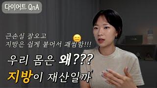 다이어트 때문에 여행이 두려울 때 마인드 셋 | 충전(치팅) 데이 시작한 이유 | 간식 어떻게 참나요 | 단백질 위주로 먹으면 정말 살이 안찔까?