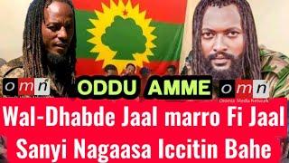 OMN:ODDU AMME - Waldhabde Ajajota WBO Jaal Marro Fi Jaal Sanyi Nagaasa Gargar Bahan ||Moha Oromo