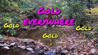 Gold Prospecting NC with Internal Compass of NC & TinyLimo