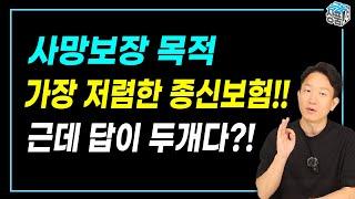 사망보험(종신보험) 제일 저렴한 곳 공개!! 전보험사 비교