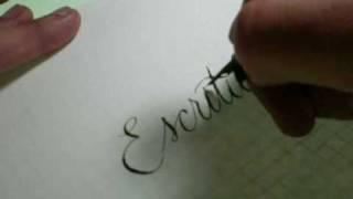 caligrafia el caligrafo - calligraphy