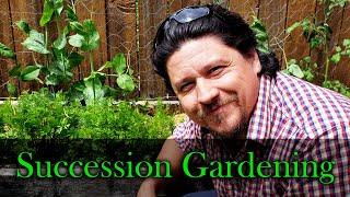 Succession Gardening and Planting In 2020