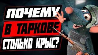 Как бороться с крысами в Таркове? Откуда их столько в Escape From Tarkov?