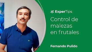 Expertips: Control de malezas en frutales.