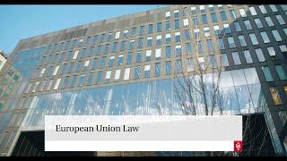 Master | European Union Law | University of Amsterdam