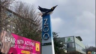 Exploring the Animal Kingdom at the Edinburgh Zoo