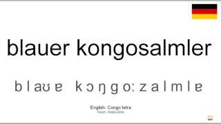 How to pronounce: Blauer kongosalmler (German)