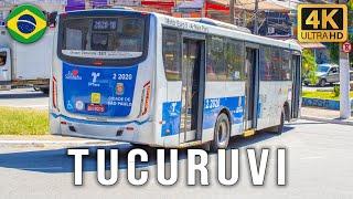 Sao Paulo, Brazil - Buses at Tucuruvi Bus Station