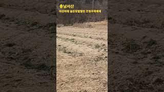 충남서산 야산아래 넓은텃밭딸린 전원주택매매, 서산전원주택 토지매매전문 굿모닝공인중개사 (041-666-5050)