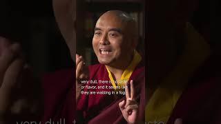 Experience in Meditation with Mingyur Rinpoche